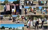 MyCollages (33)